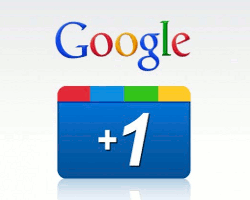 Google +1